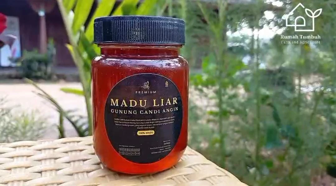 Sinergi Dekranasda dan UMKM: Ibu Ketua Dekranasda Kecamatan Pakis Aji Dorong Pemasaran Produk Lokal