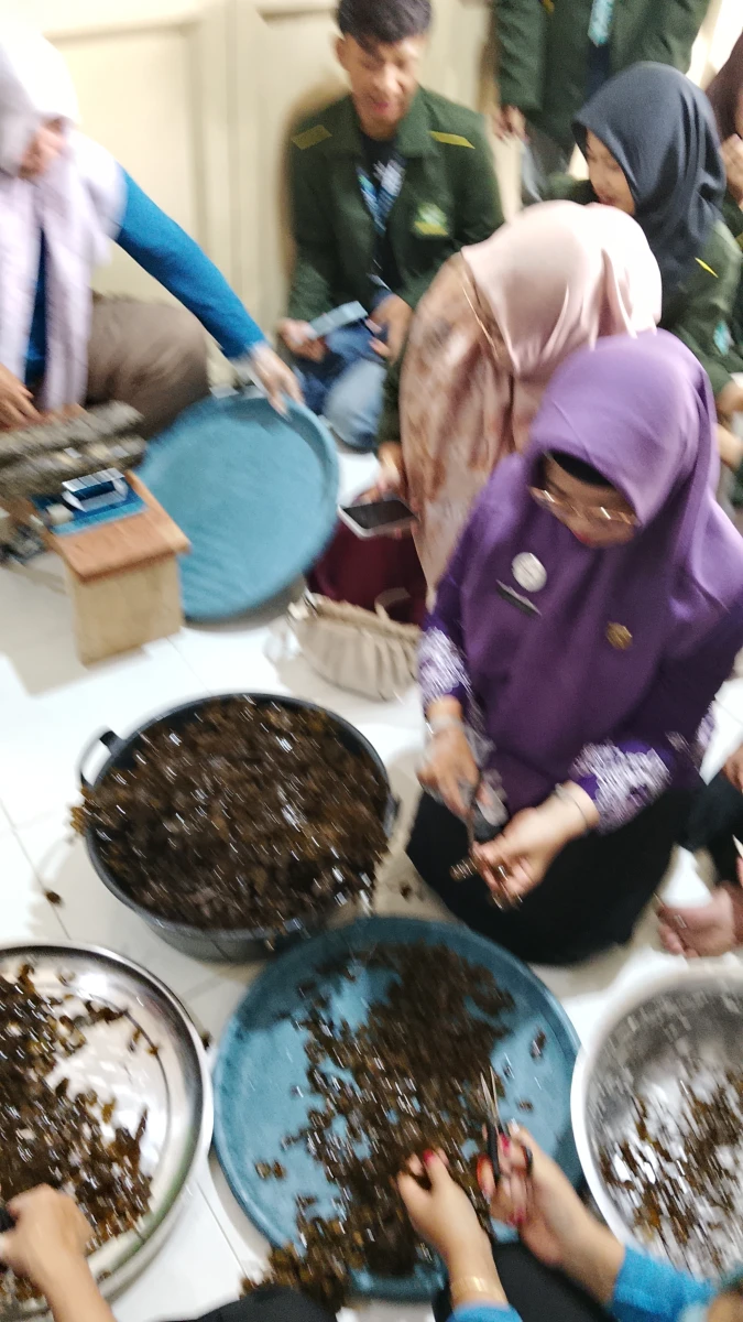 Membuat kerupuk sargassum dari sampah laut jadi cuan