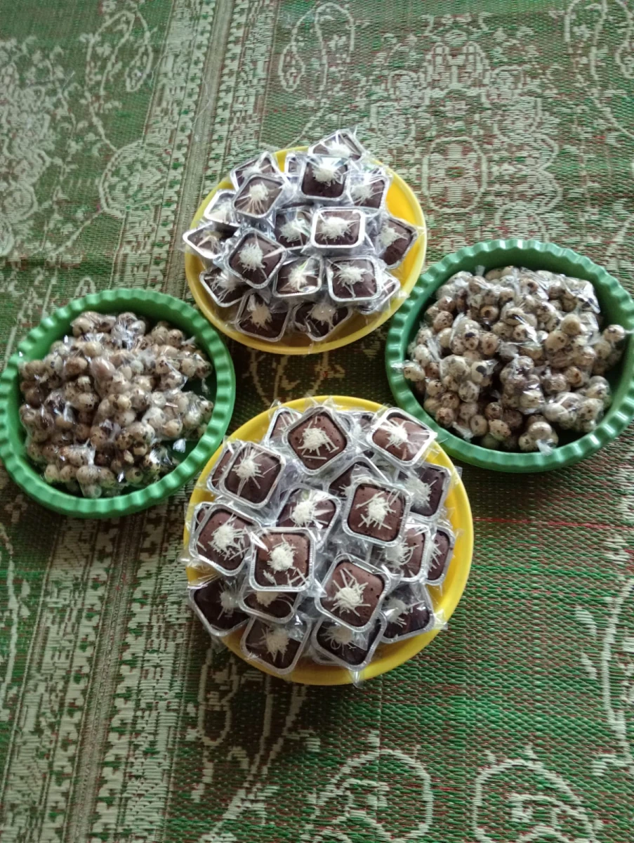 PELAKSANAAN ILP POSYANDU MAWAR RW01