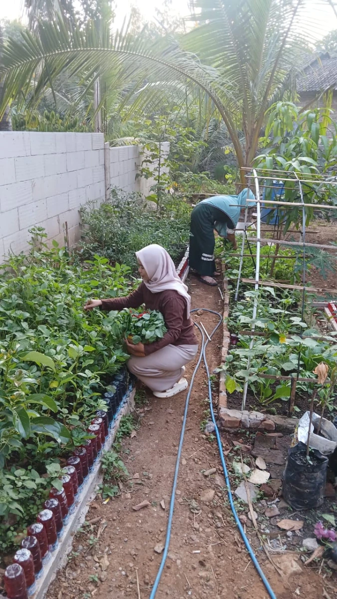 Pemanfaatan halaman pekarangan