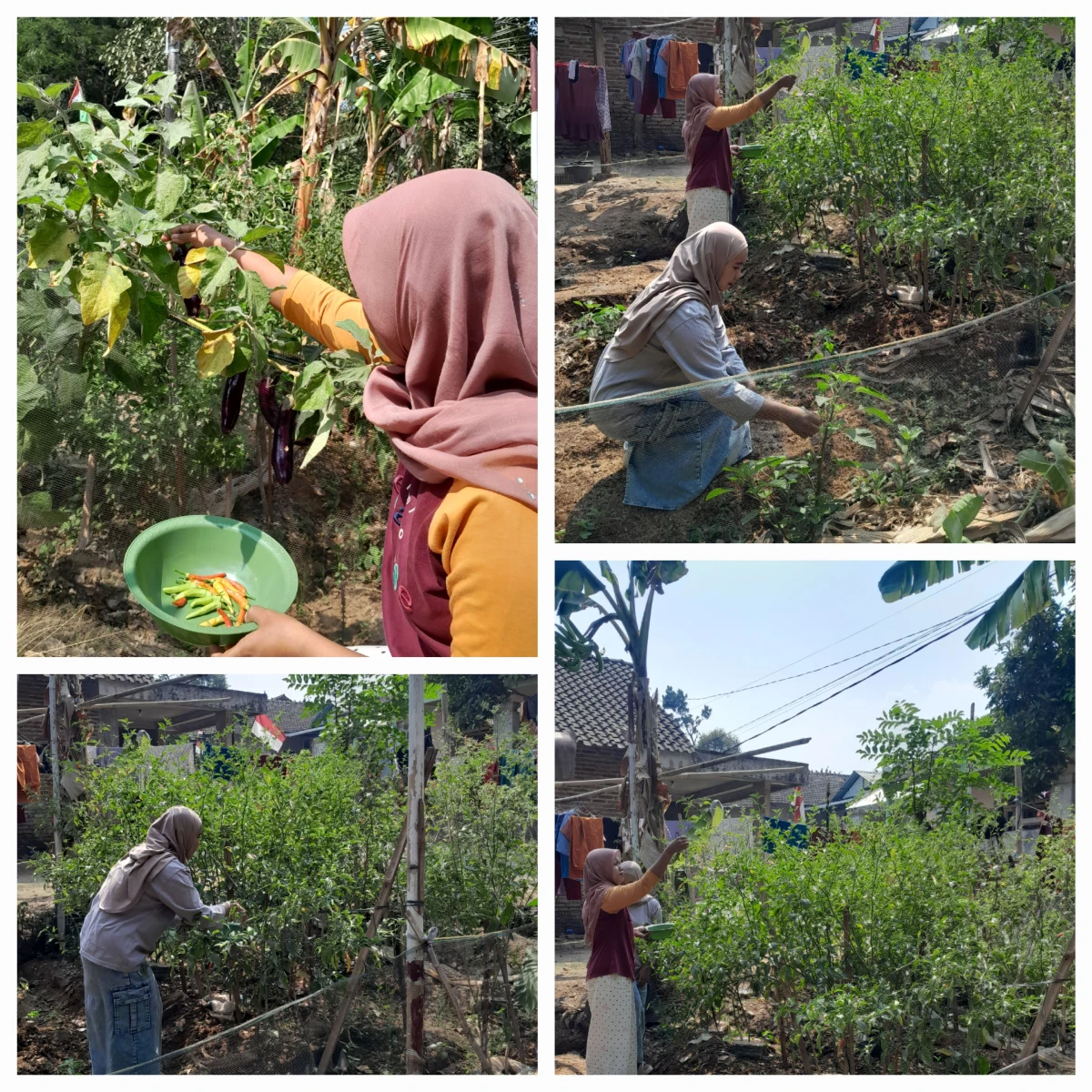 IBU BIJAK KELUARGA SEHAT, HEBAT DAN BAHAGIA