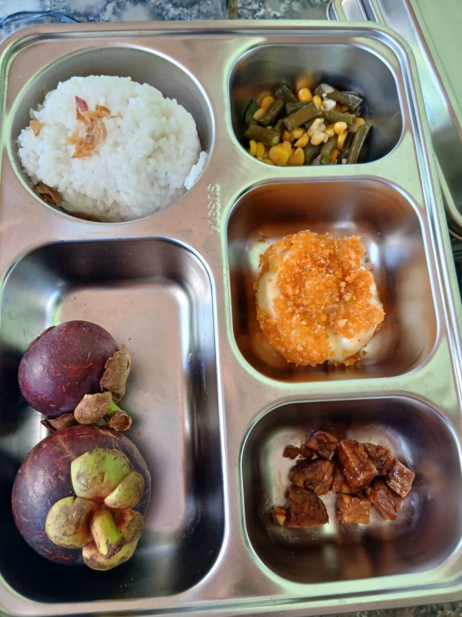 MAKANAN BERGIZI GRATIS