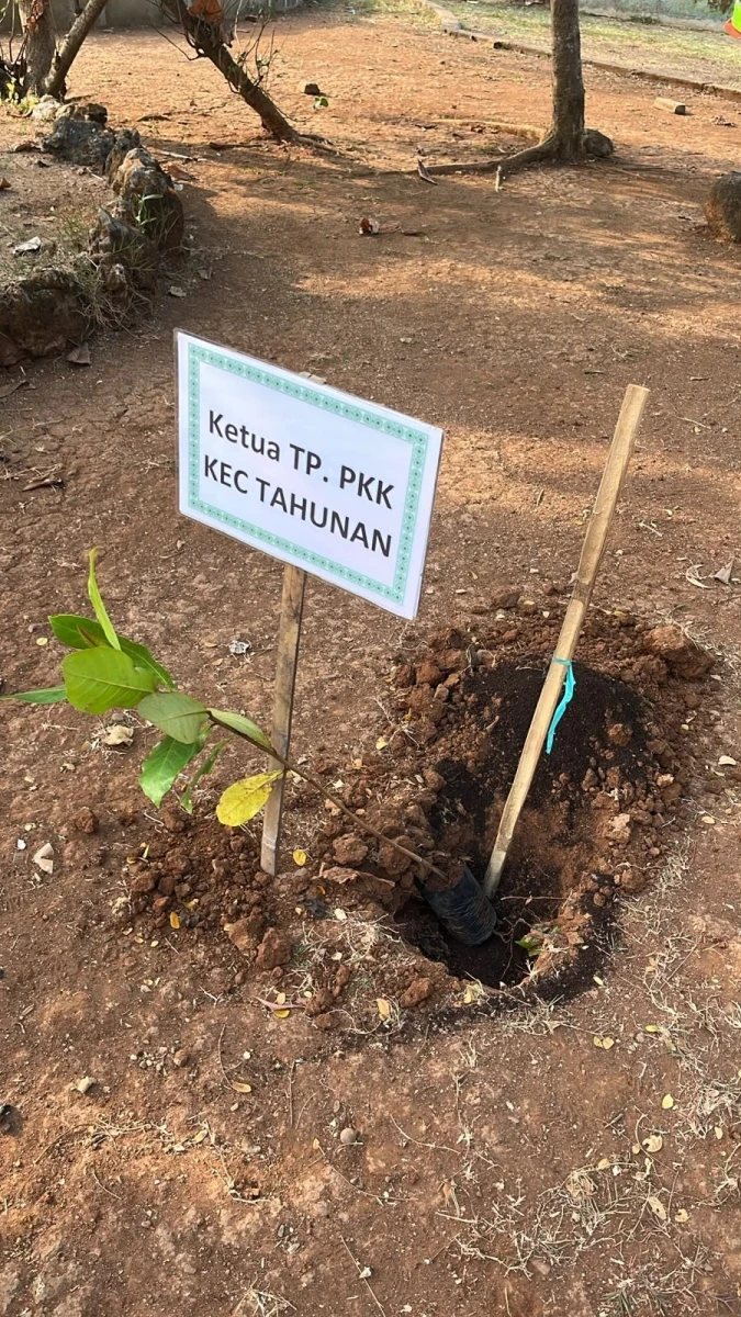 Aku harinya PKK menanam Pohon  untuk penghijauan 