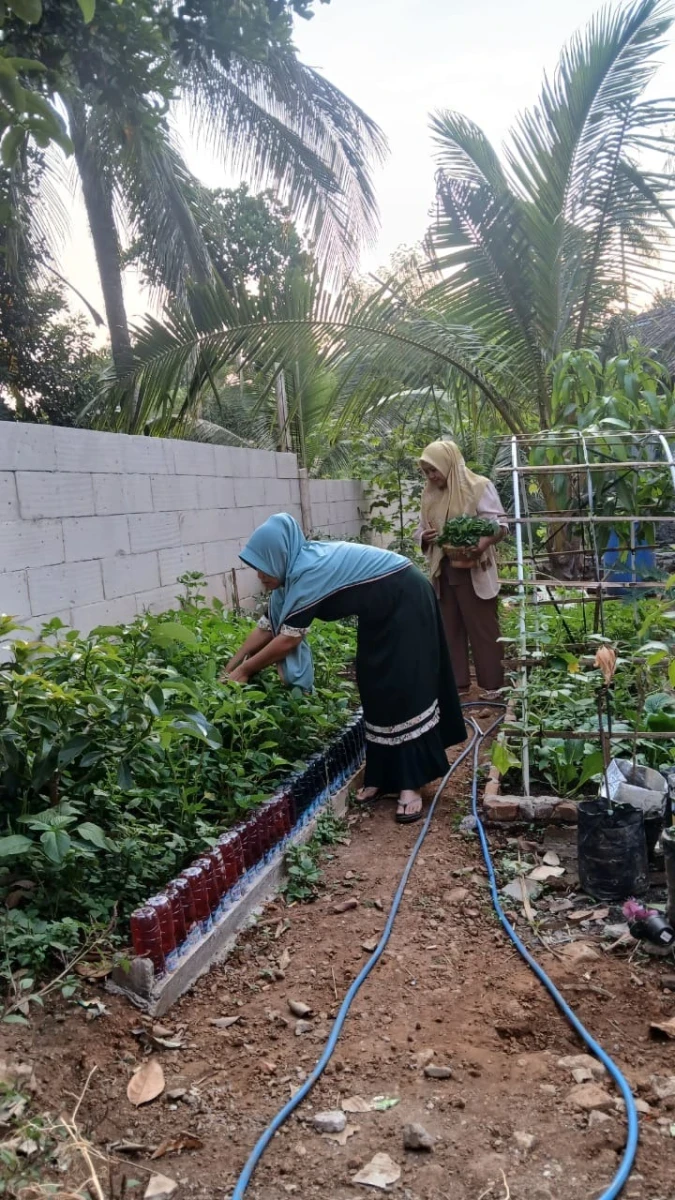 Pemanfaatan halaman pekarangan