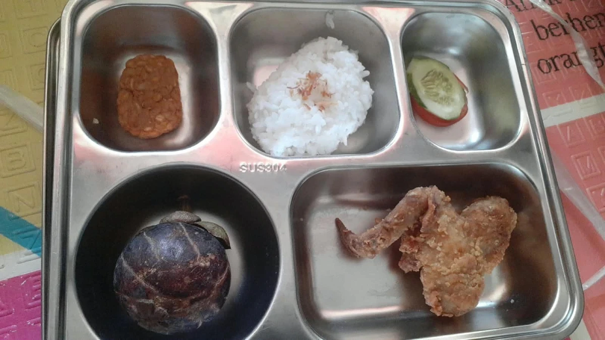 MAKANAN BERGIZI GRATIS