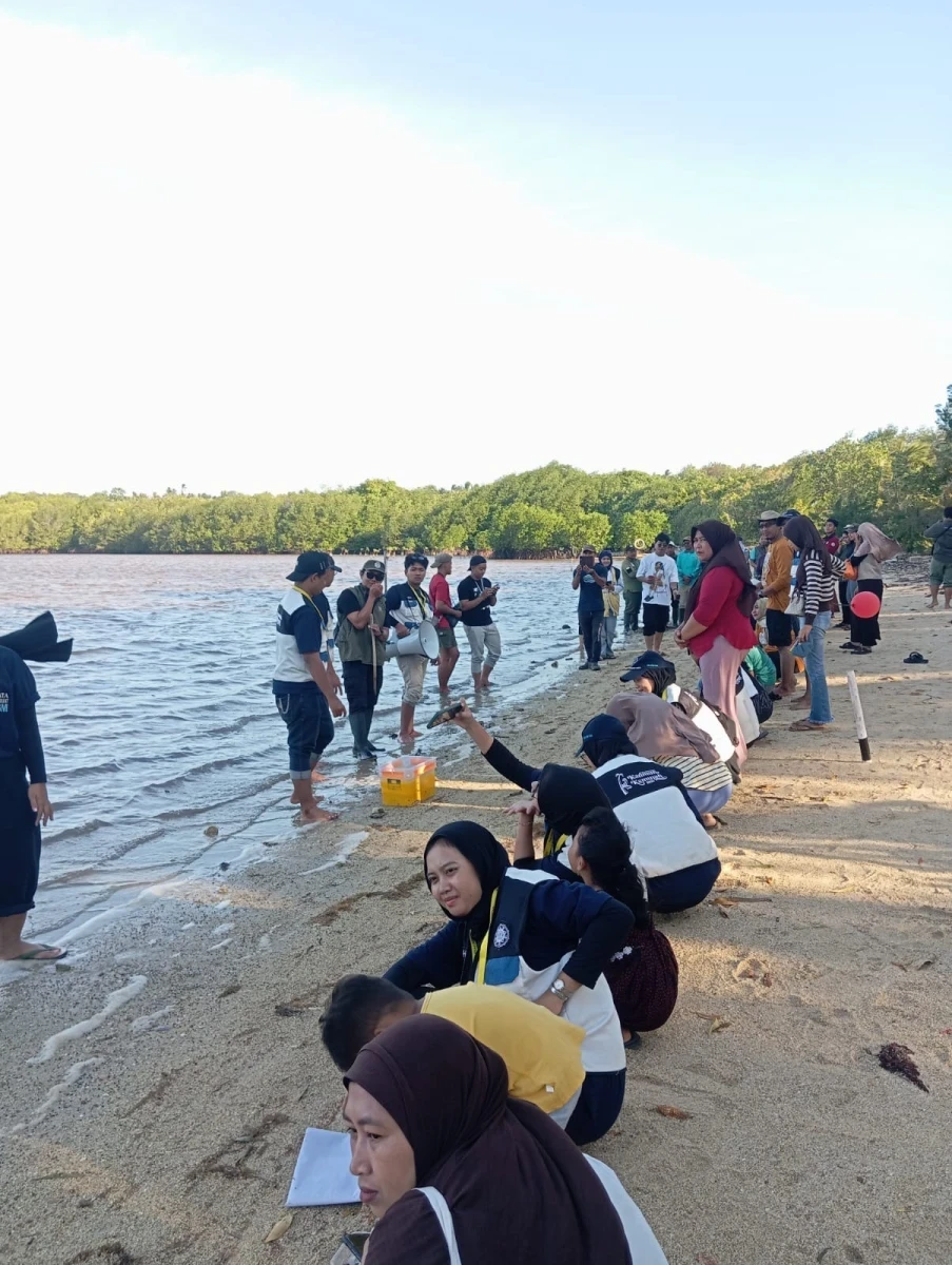 Langkah Kecil, Dampak Besar: Aksi Kolaborasi Konservasi Pesisir Karimunjawa 