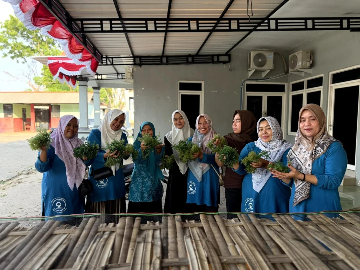 TP PKK Desa Telukawur Ikuti Pelatihan Pengolahan Rumput Laut Kering Tawar Bersama Nusa Core
