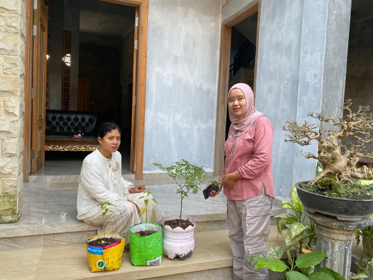 Pemanfaatan Pekarangan melalui Pembagian Bibit Lombok