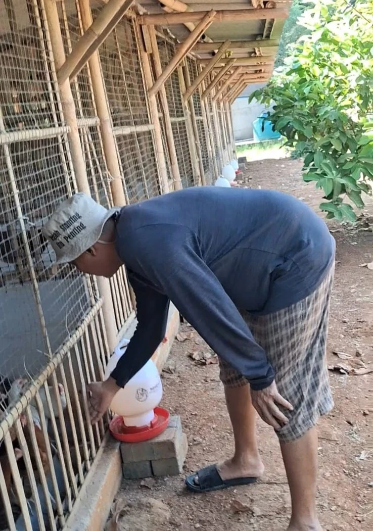 Pengenalan Pertanian Terpadu Milik Bapak Ali Ronzi, Petinggi Desa Karanggondang