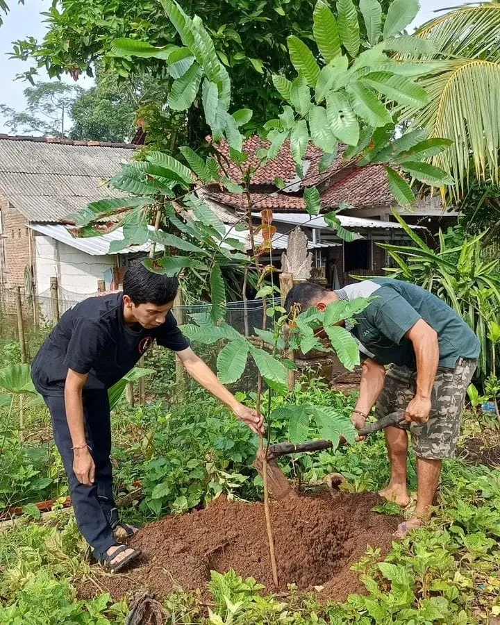 Gerakan Menanam Pohon