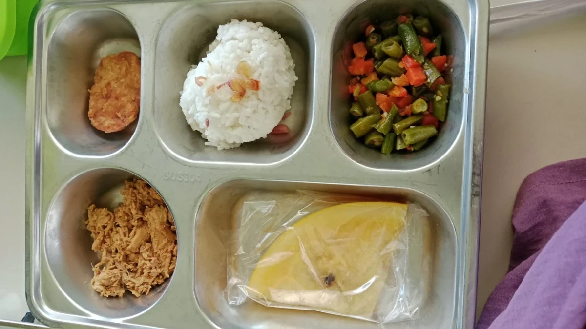 MAKANAN BERGIZI GRATIS