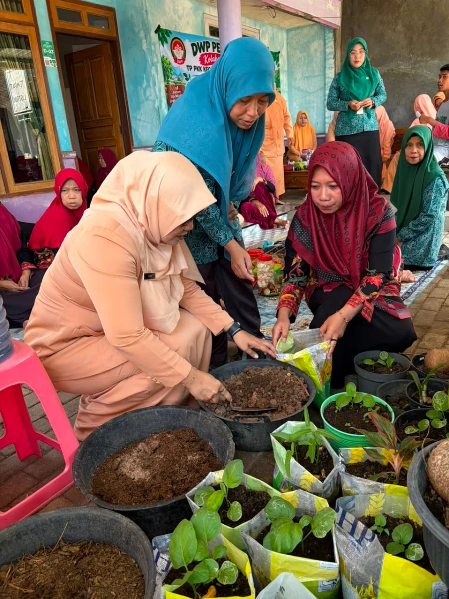TP.PKK Kecamatan Kembang memberikan bantuan Bibit Dan Pupuk Di Ds.Cepogo melalui Penyaluran Bantuan Bibit  dan Pupuk dalam Mendukung Ketahanan Pangan Keluarga.