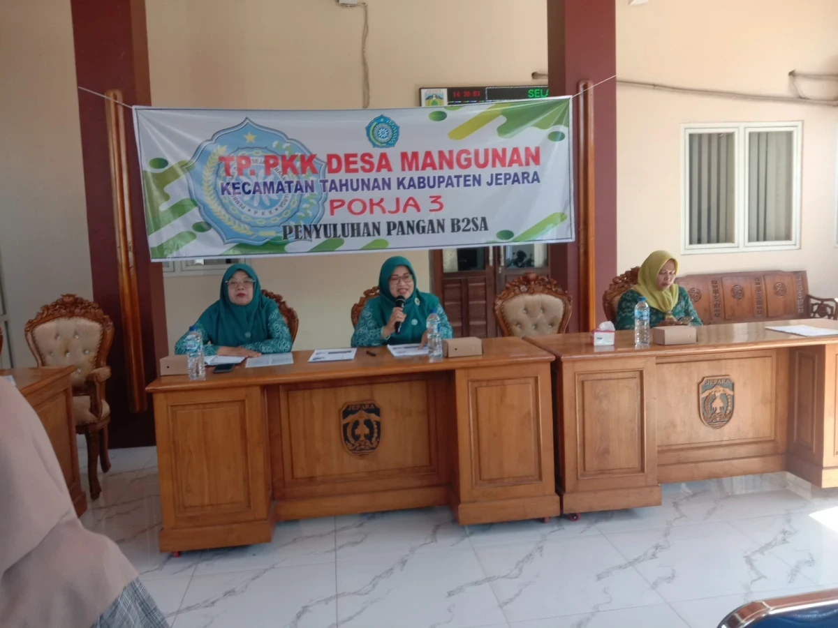 Sosialisasi B2SA