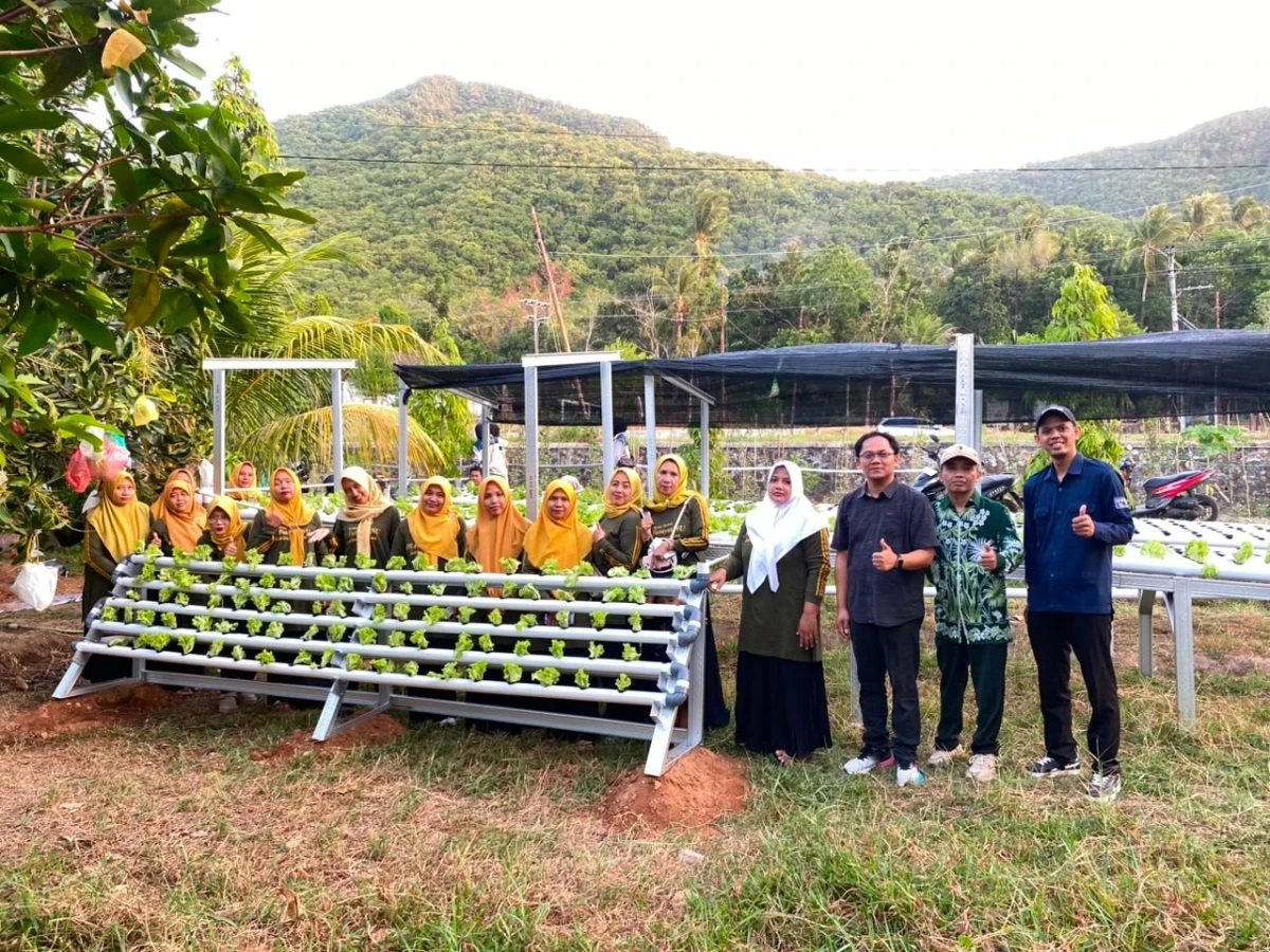 Kegiatan Penanaman Selada dengan Tekhnik IOT (INTERNET OF THINGS) & Penyerahan Bibit Tanaman oleh Kelompok Ranting Fatayat