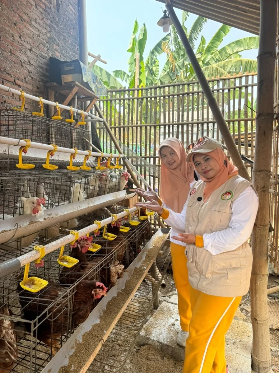 Dari Telur hingga Bebek Goreng, Potensi Usaha Desa Tigajuru Terus Dikembangkan