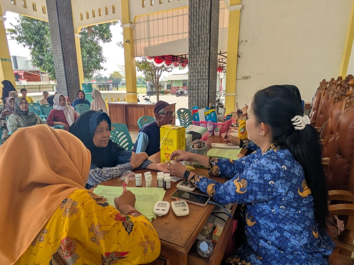 Posyandu 6 SPM Digelar di Balai Desa Telukawur, TP. PKK Perkuat Dukungan untuk Kesehatan Keluarga