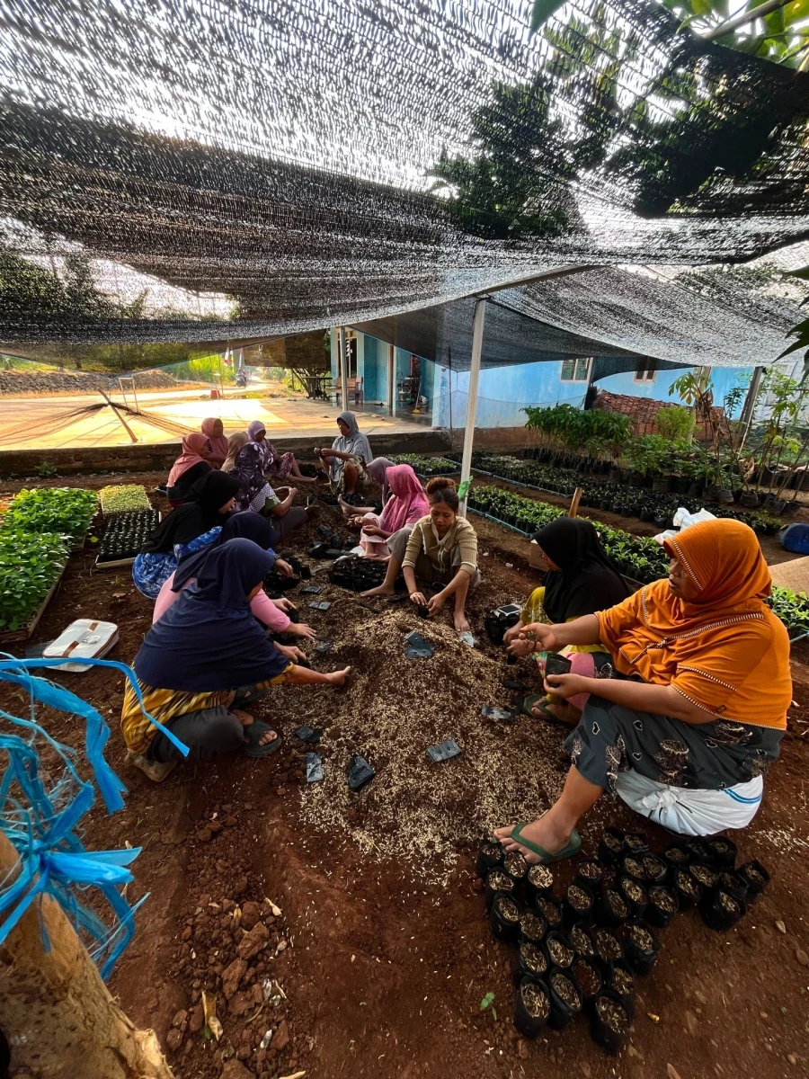 Membuat kebun bibit