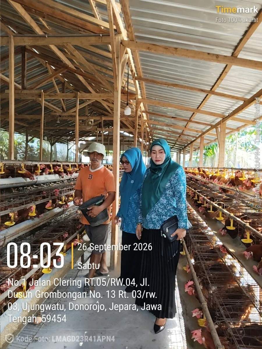 KETUA  TP. PKK DESA UJUNGWATU KUNJUNGI PETERNAK AYAM PETELUR