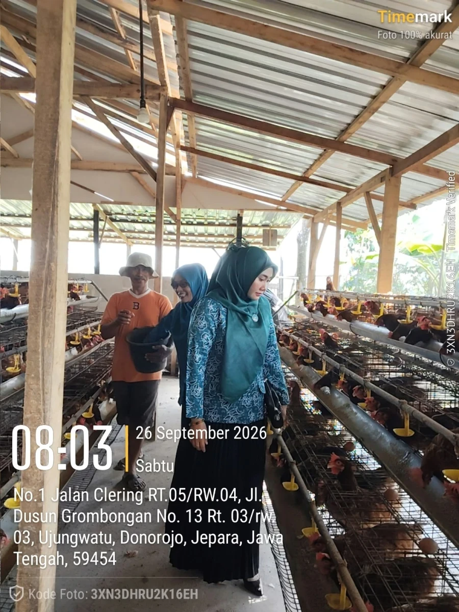 KUNJUNGAN KETUA TP. PKK DESA UJUNGWATU KE PETERNAK AYAM PETELUR.