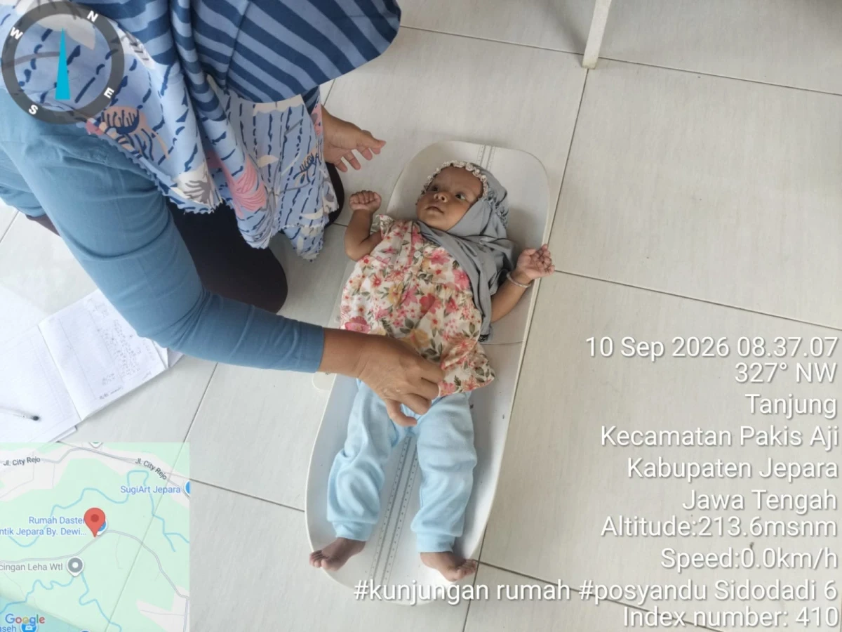 LAPORAN PELAYANAN POSYANDU SIDO DADI VI DESA TANJUNG