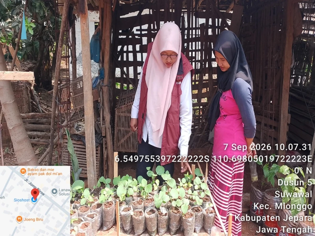 Pekarangan Produktif, Keluarga Lebih Mandiri