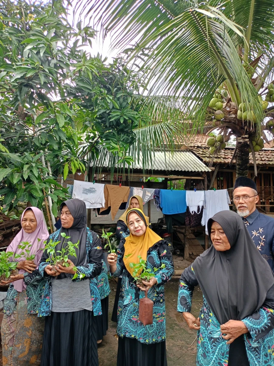 Pemanfaatan Lahan Pekarangan TP.PKK Desa Jugo