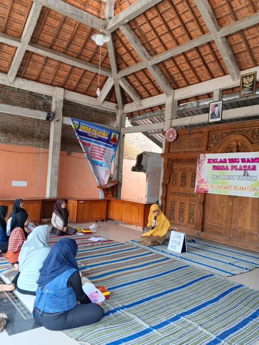kelas ibu hamil,wujudkan ibu dan bayi sehat