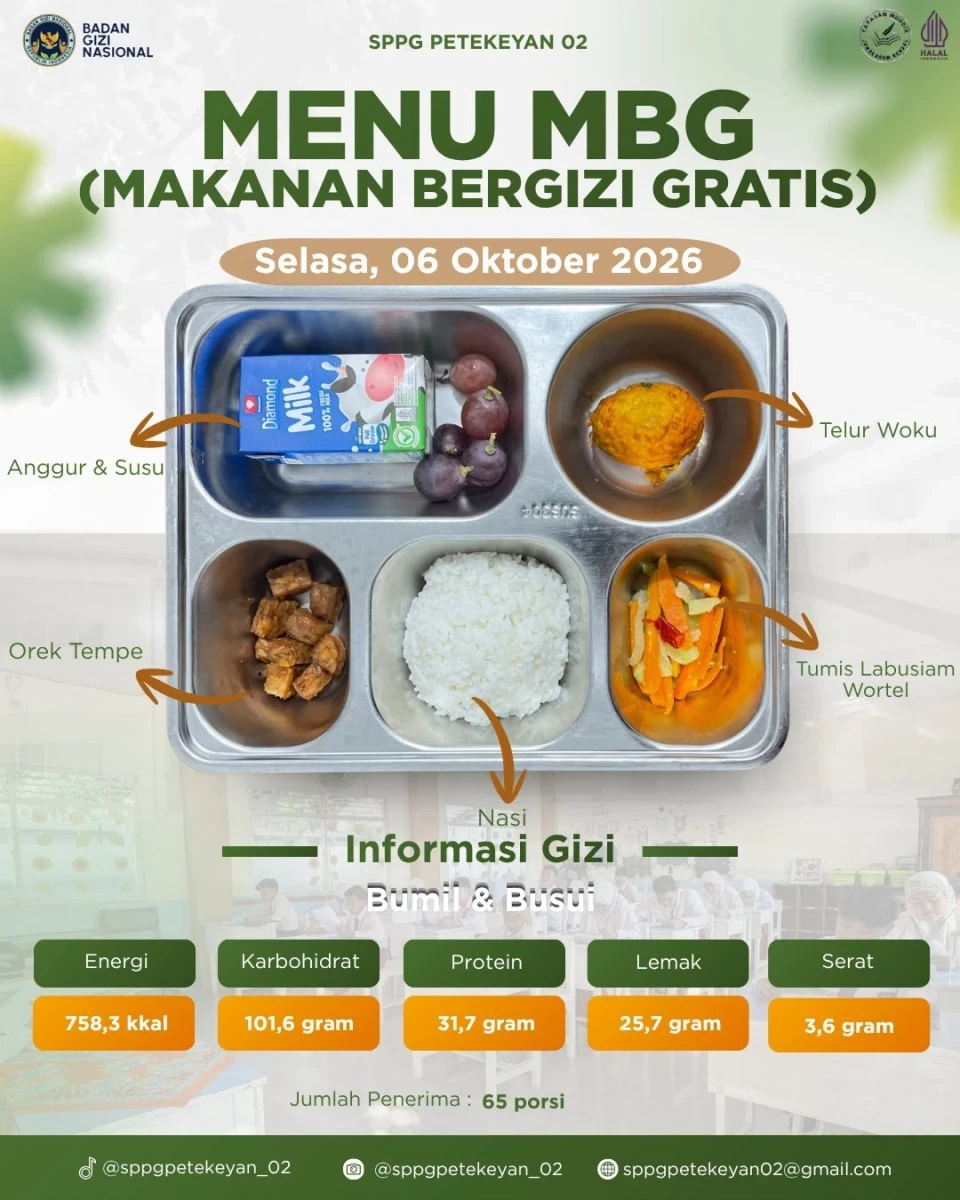 penyaluran MBG bagi Ibu hamil 