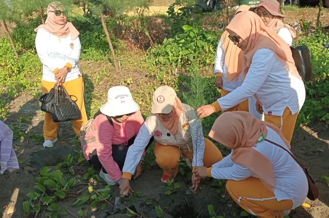 Kegiatan Tanam Pohon