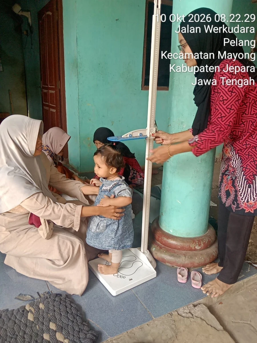Kegiatan posyandu teratai 2 desa pelang