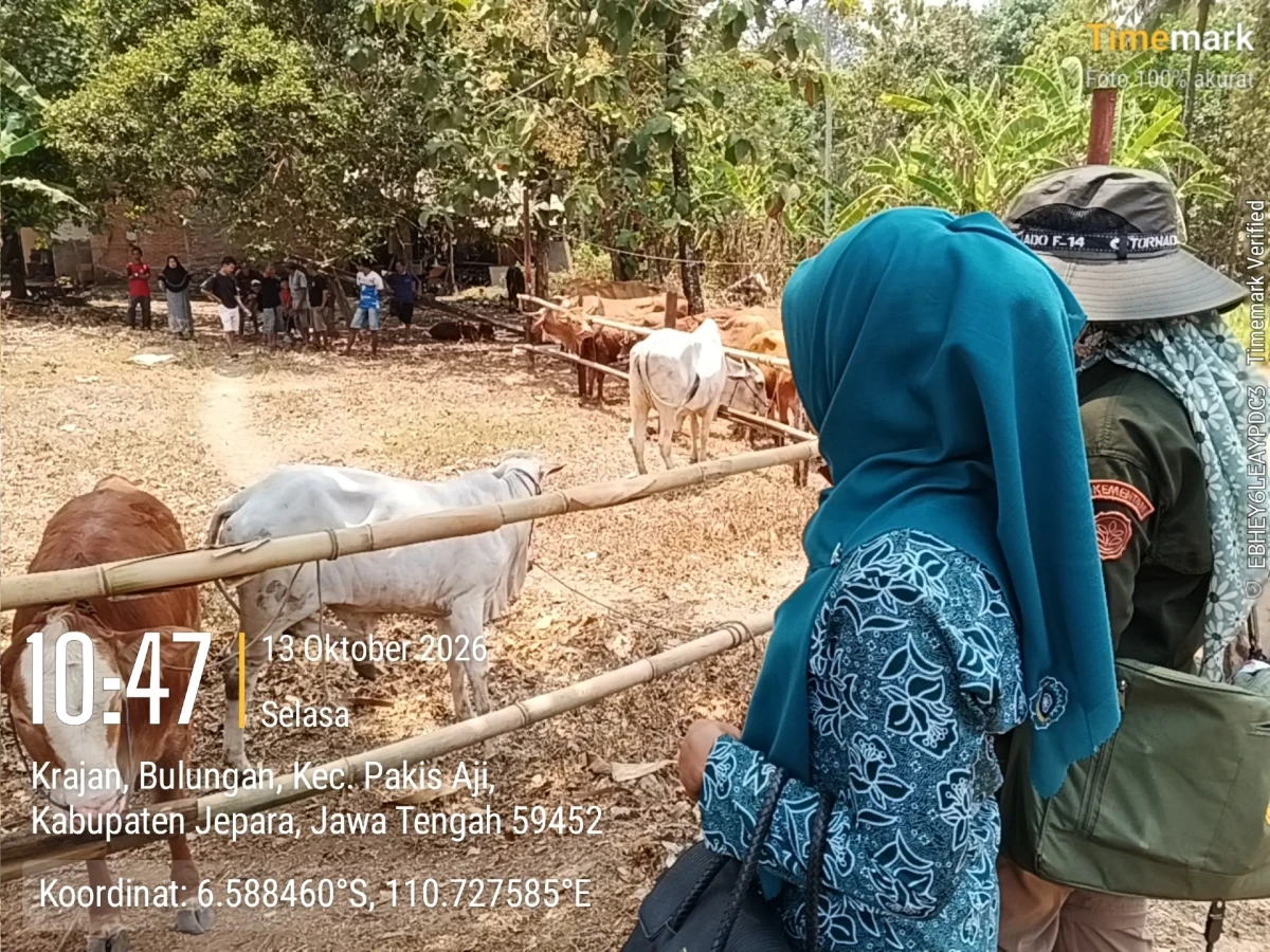 Kunjungan Pelayanan Pengobatan Ternak Sapi pada Pembukaan TMMD Sengkuyung Tahap V di Lapangan Desa Bulungan