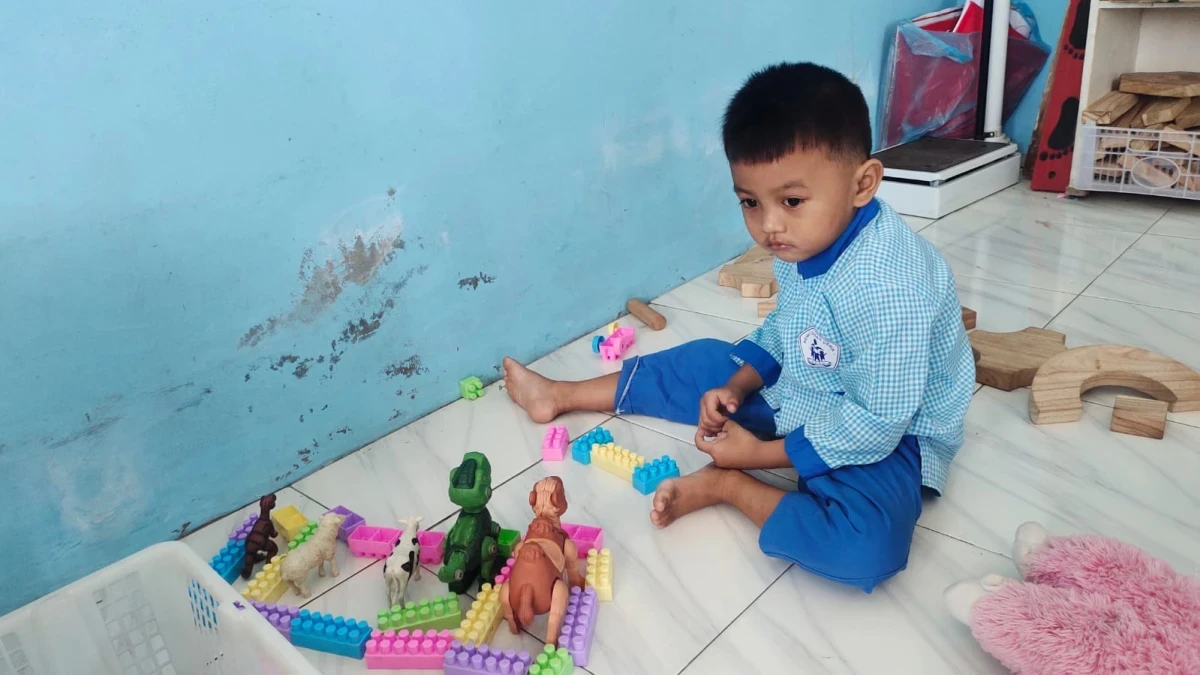 Membuat kebun binatang dari balok 