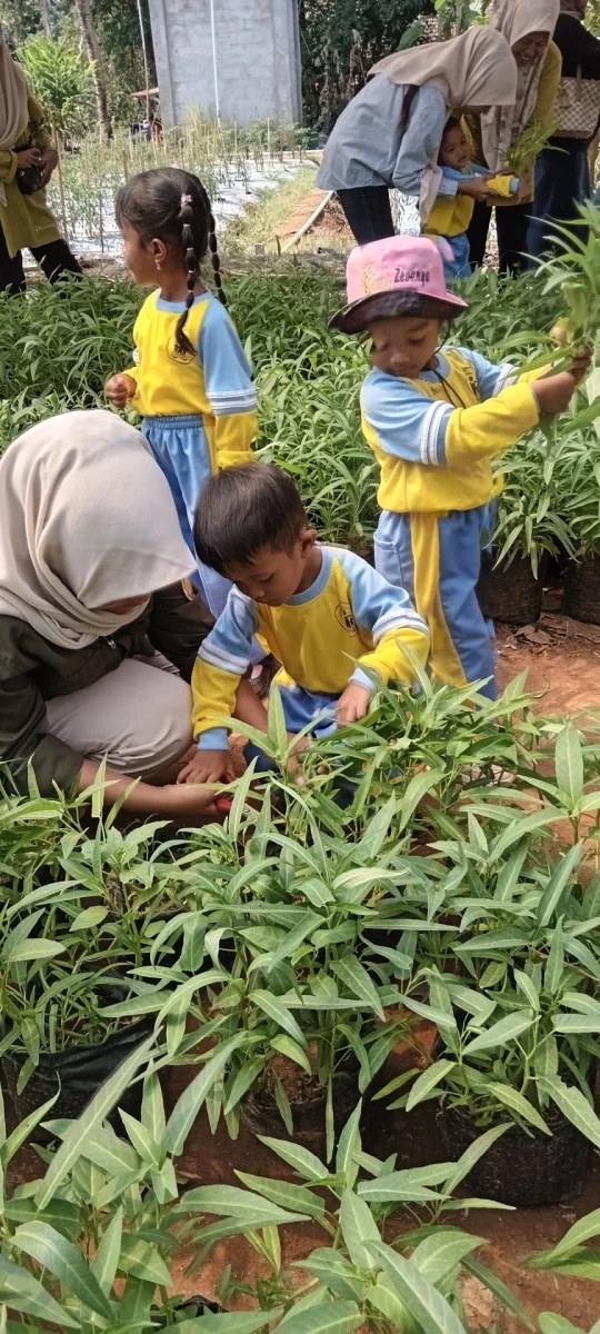 Keseruan Outing Class Pos PAUD Ceria Karanggondang: Belajar Petik Sayur dan Menanam Cabai di SMKN 1 Batealit