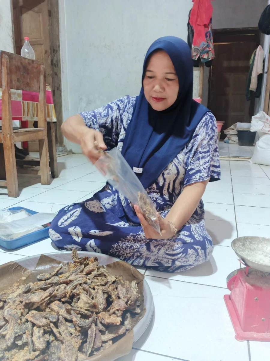 Pembuatan sale pisang 