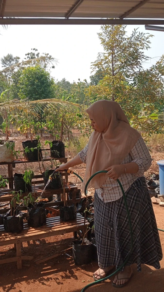 Pemeliharaan tanaman di KWT Kestari Makmur 