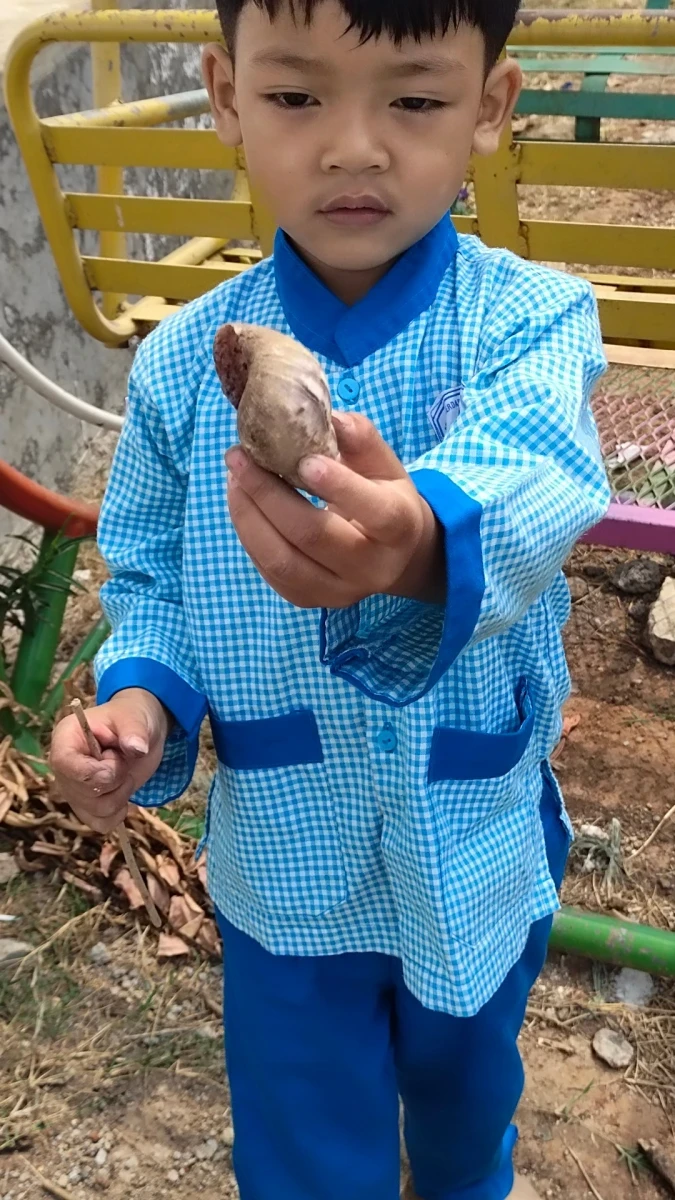 Anak menemukan bekicot 