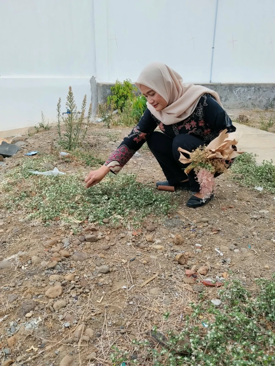 Mencari bahan untuk membuat kolase