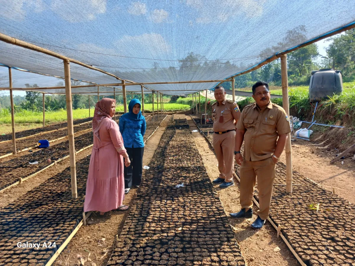 Kelompok Tani Sido Mulyo VII Terima Bantuan Kebun Bibit Rakyat dari Kementerian Kehutanan