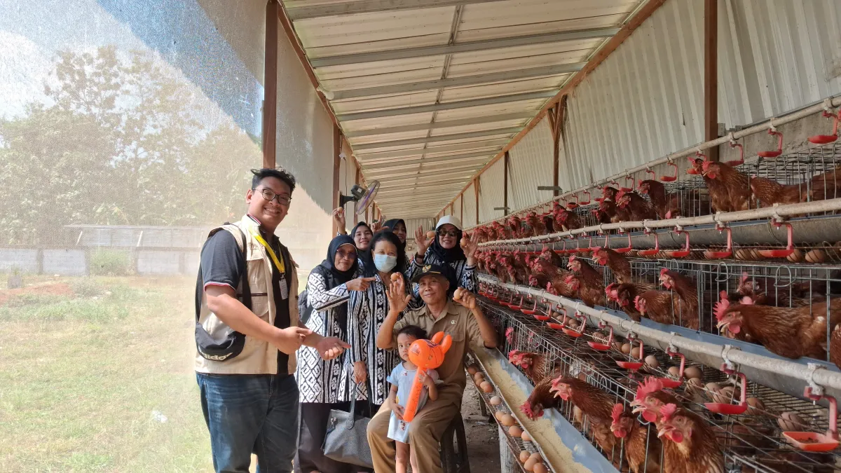 TP PKK Desa Karanggondang Kunjungi Peternakan Ayam Petelur BUMDes, Dukung Ketahanan Pangan dan Pemberdayaan Ekonomi Desa