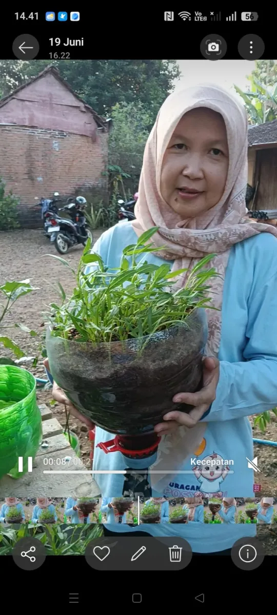 Ketua TP PKK Mayong Kenalkan Budidaya Sayuran dengan Sistem Sumbu Kapiler