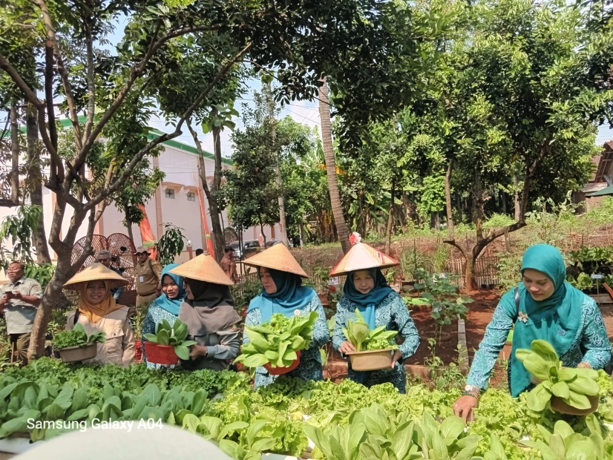 Lomba pemanfaatan lahan pekarangan tingkat Kabupaten Jepara 
