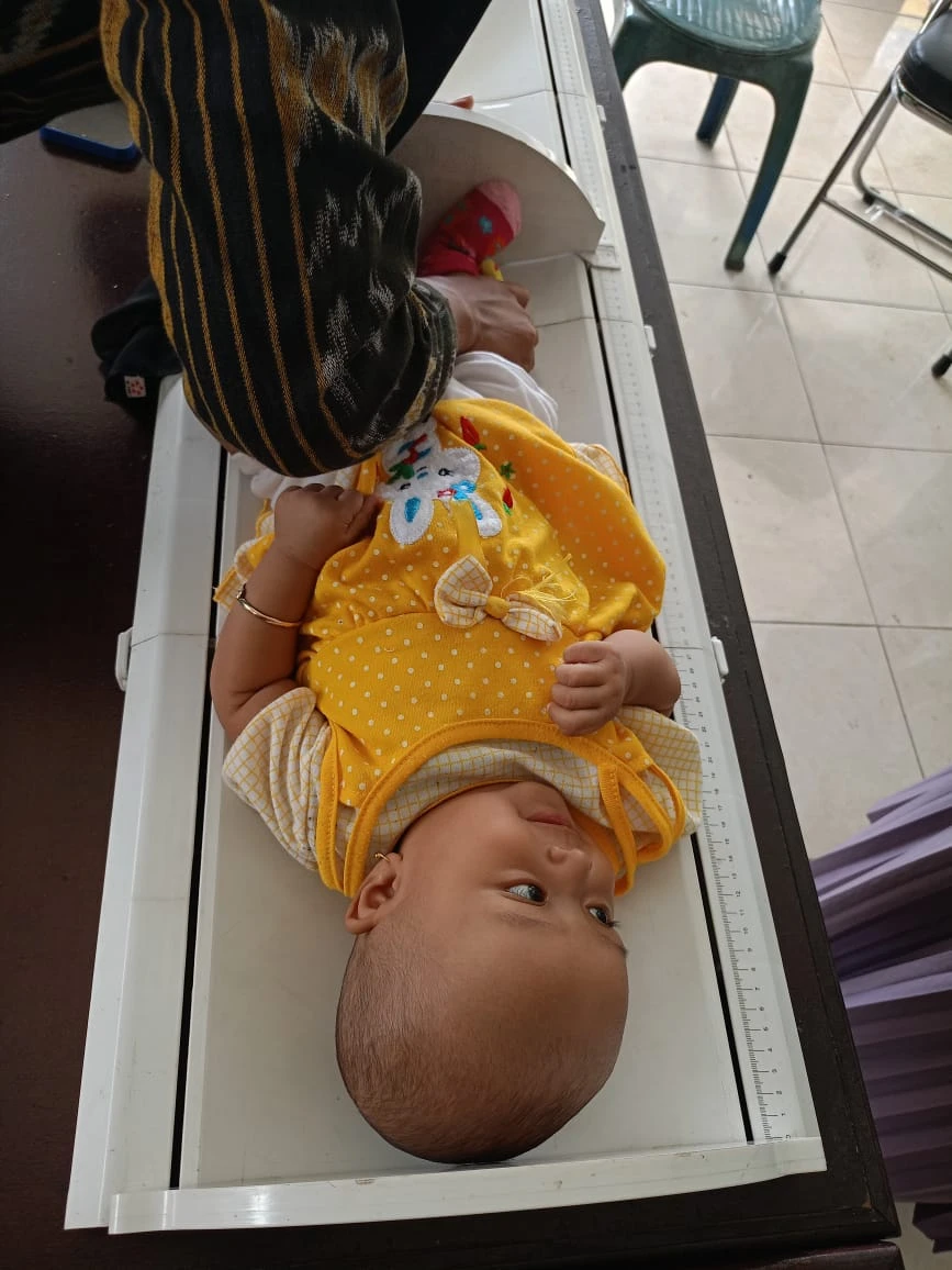 Posyandu ILP Mekarsari II : Layanan Terpadu untuk Kesehatan Keluarga di Setiap Tahap Kehidupan