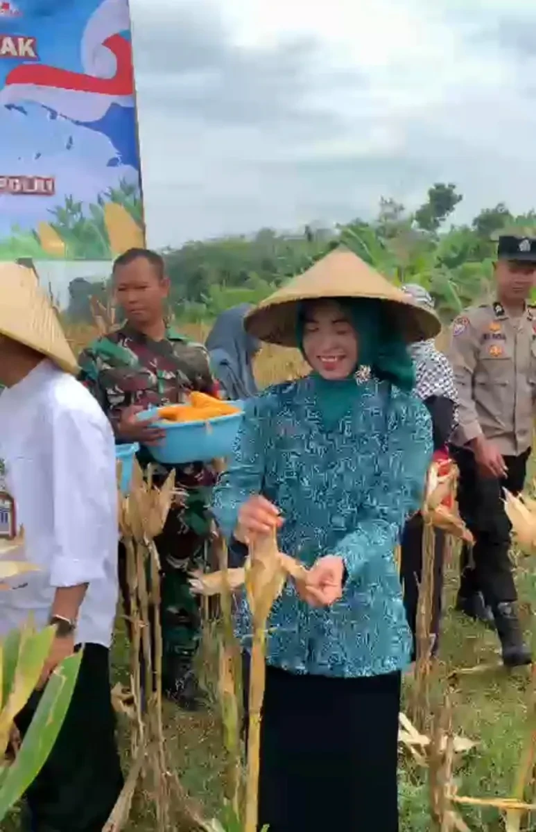 Memanen Hasil, Menguatkan Semangat Ketahanan Pangan
