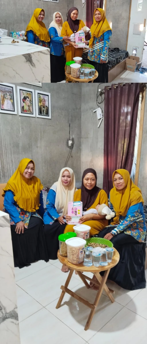 Kunjungan ibu nifas dari tim tpk desa rau