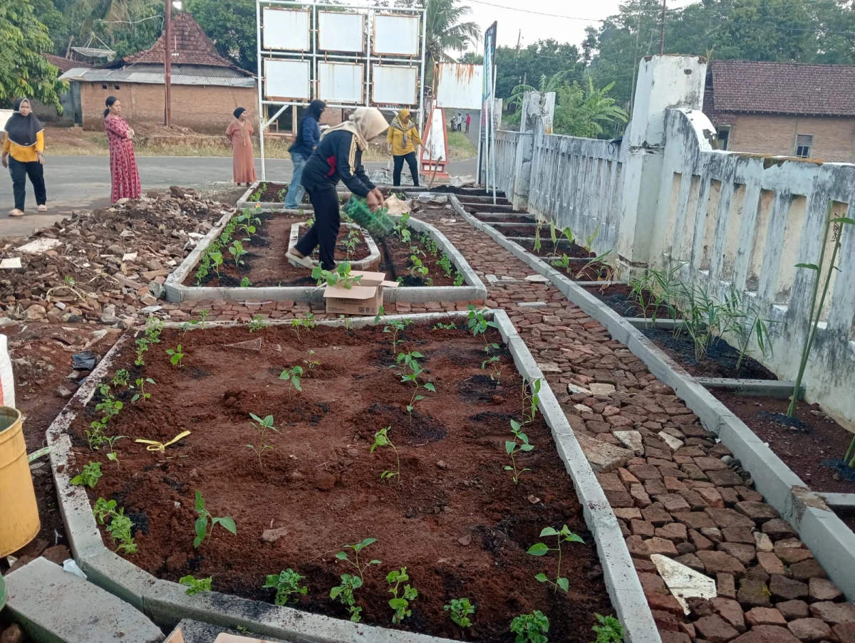 PELATIHAN PEMANFAATAN TANAH PEKARANGAN